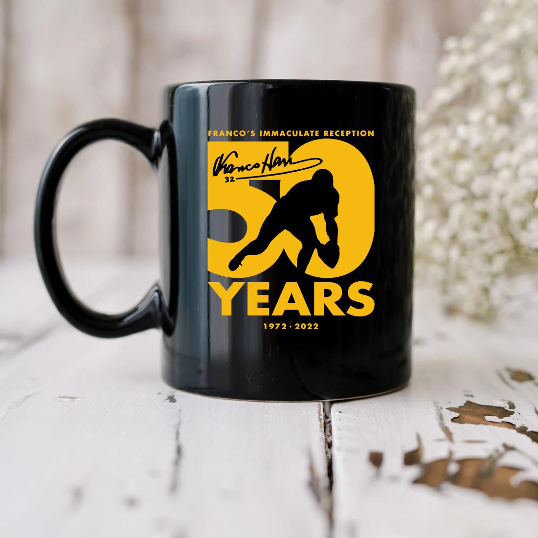 Greatest Steelers Plays Mug: Immaculate Reception 1972 -   Denmark