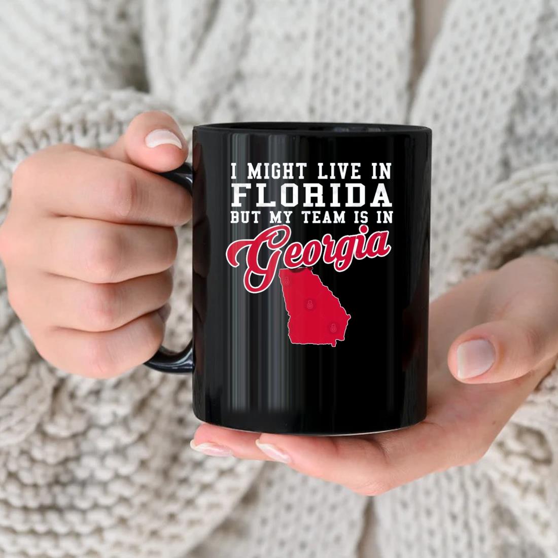 I Might Live In Florida But My Team Is In Georgia Bulldogs Mug