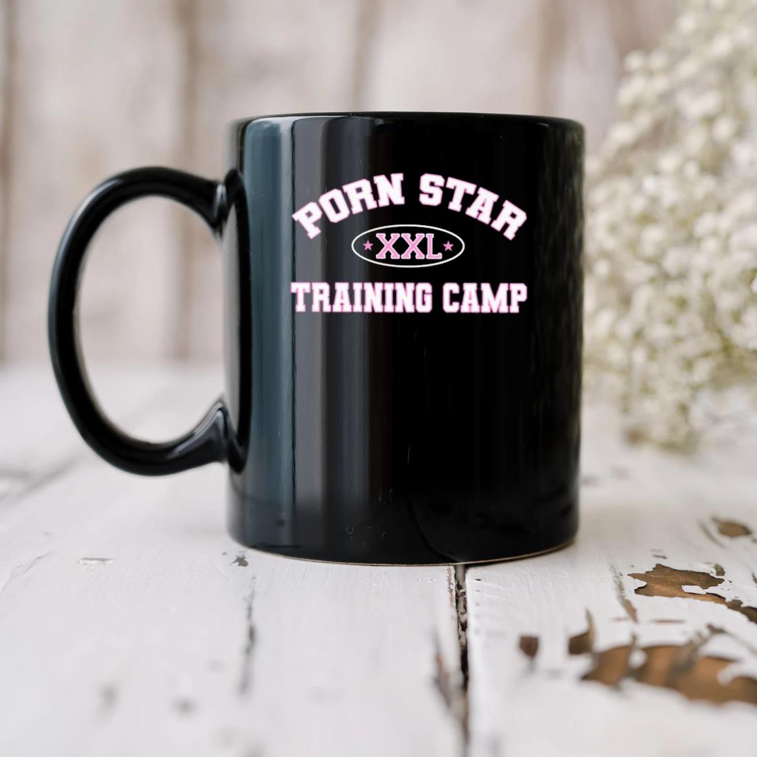 Boycrazy Porn Star Training Camp Mug