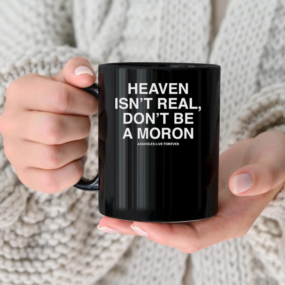 Heaven Isn't Real Don't Be A Moron Assholes Live Forever Mug nhu