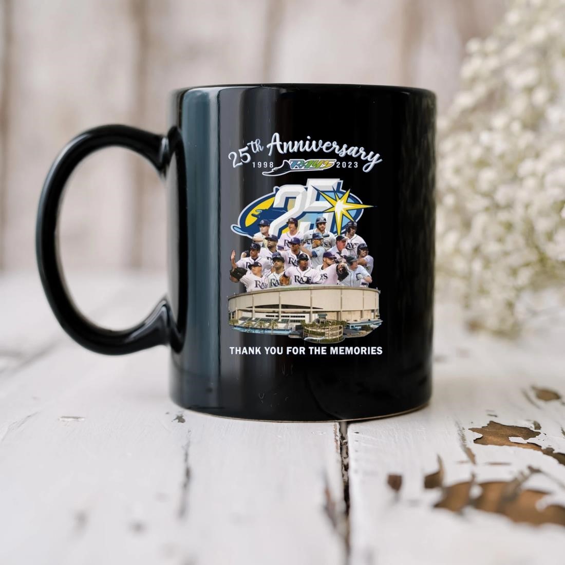 Tampa Bay Devil Rays 25th Anniversary 1998 2023 Thank You For The