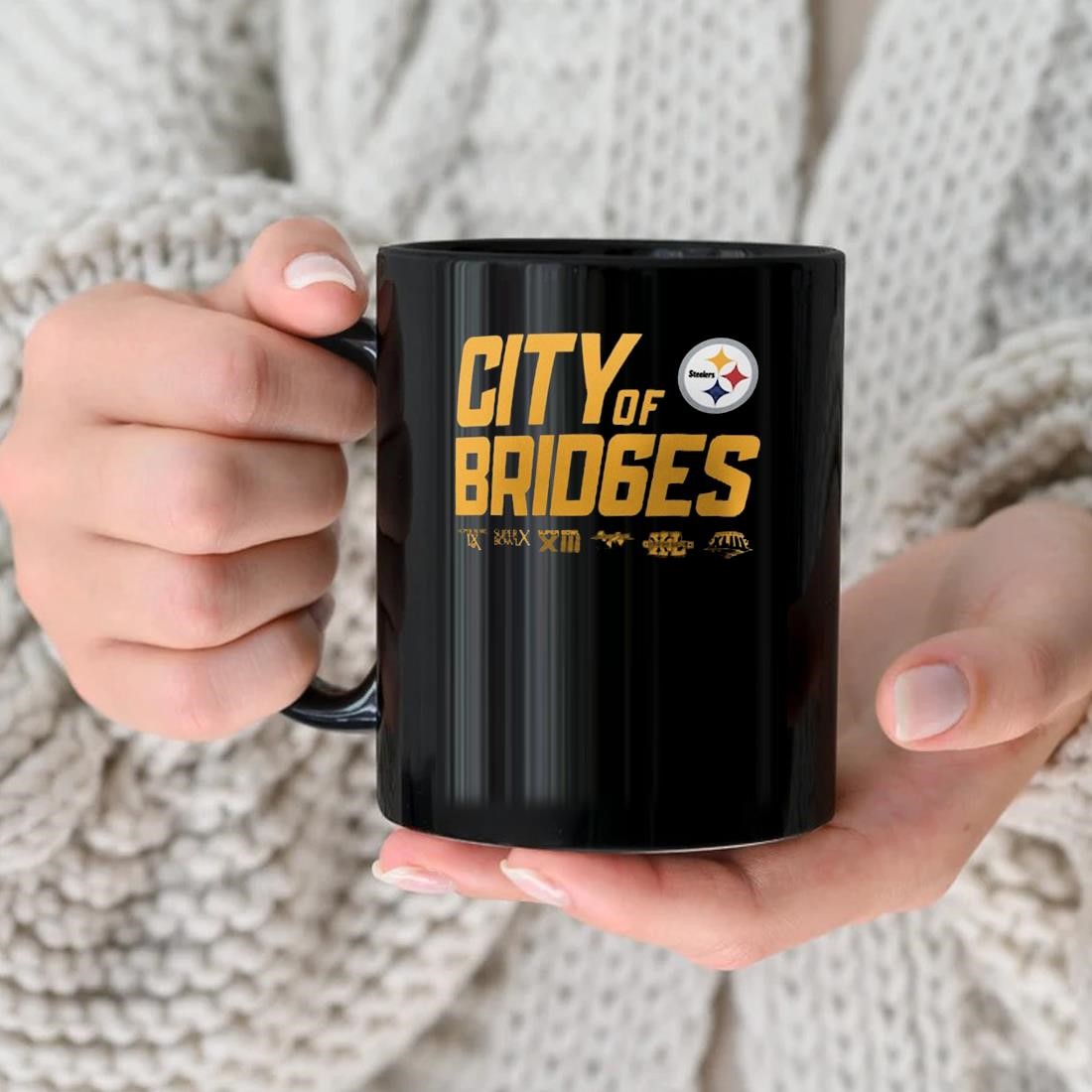 Pittsburgh Steelers City Of Brid6es Mug