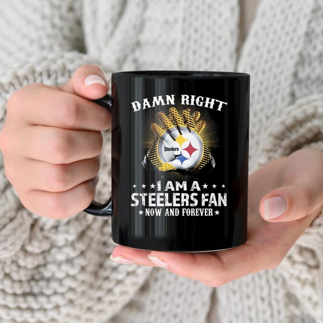 Pittsburgh Steelers Damn Right I Am A Pittsburgh Steelers Fan Now And Forever 2023 Mug