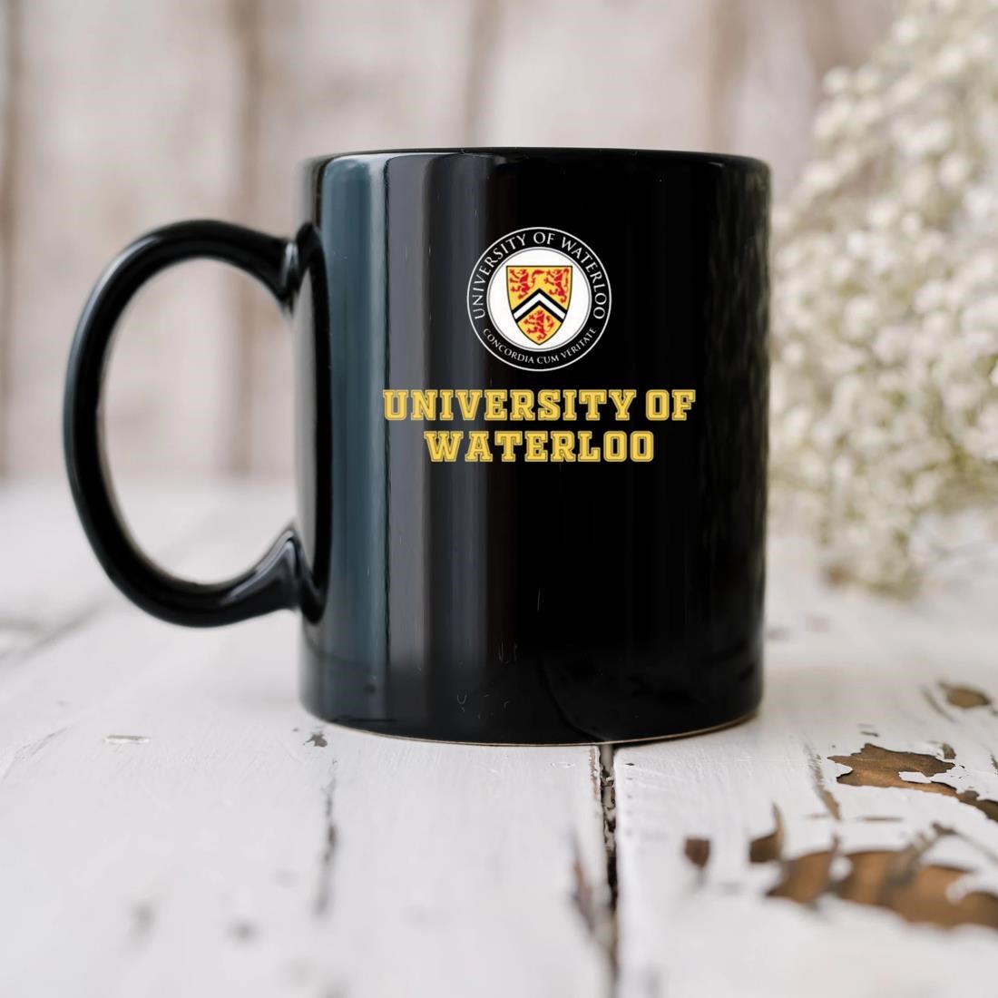 University Of Waterloo Logo Mug biu.jpg